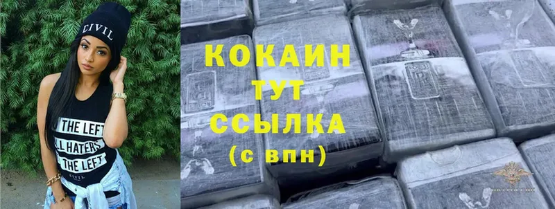 Cocaine Fish Scale  даркнет сайт  Ак-Довурак 