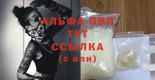 индика Россошь