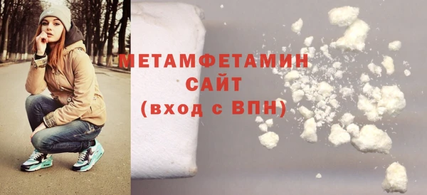 прущие грибы Ростов