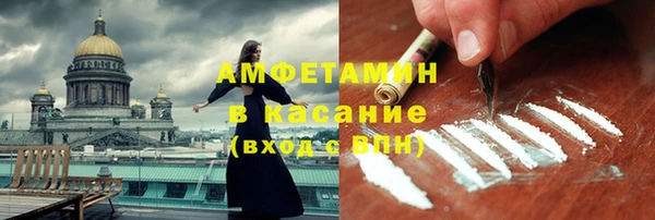 прущие грибы Ростов