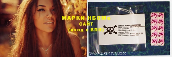 индика Россошь