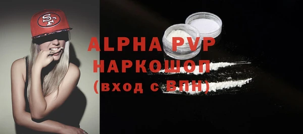 индика Россошь