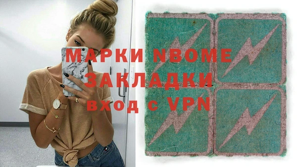 прущие грибы Ростов
