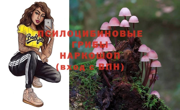 прущие грибы Ростов