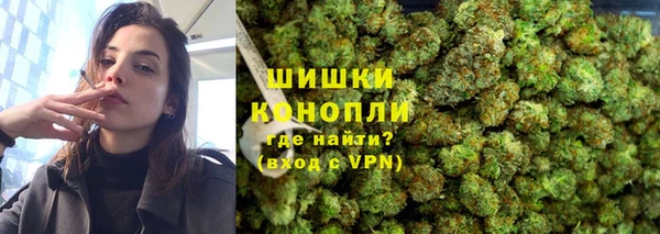 прущие грибы Ростов