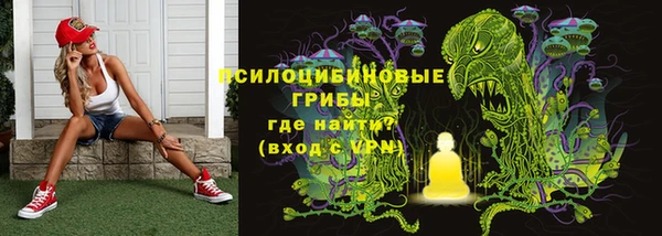 индика Россошь