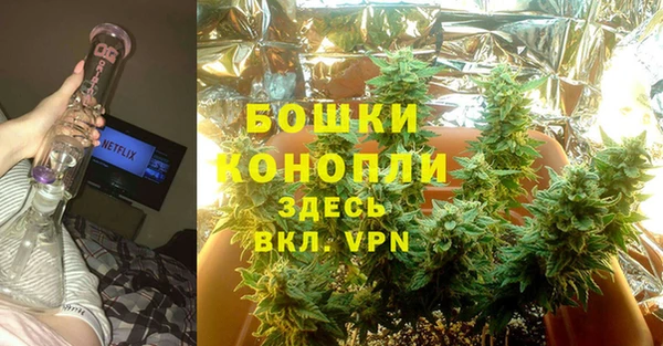 прущие грибы Ростов