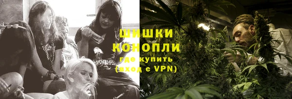 прущие грибы Ростов