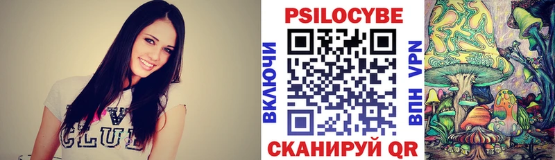наркота  Ак-Довурак  Псилоцибиновые грибы Psilocybe 